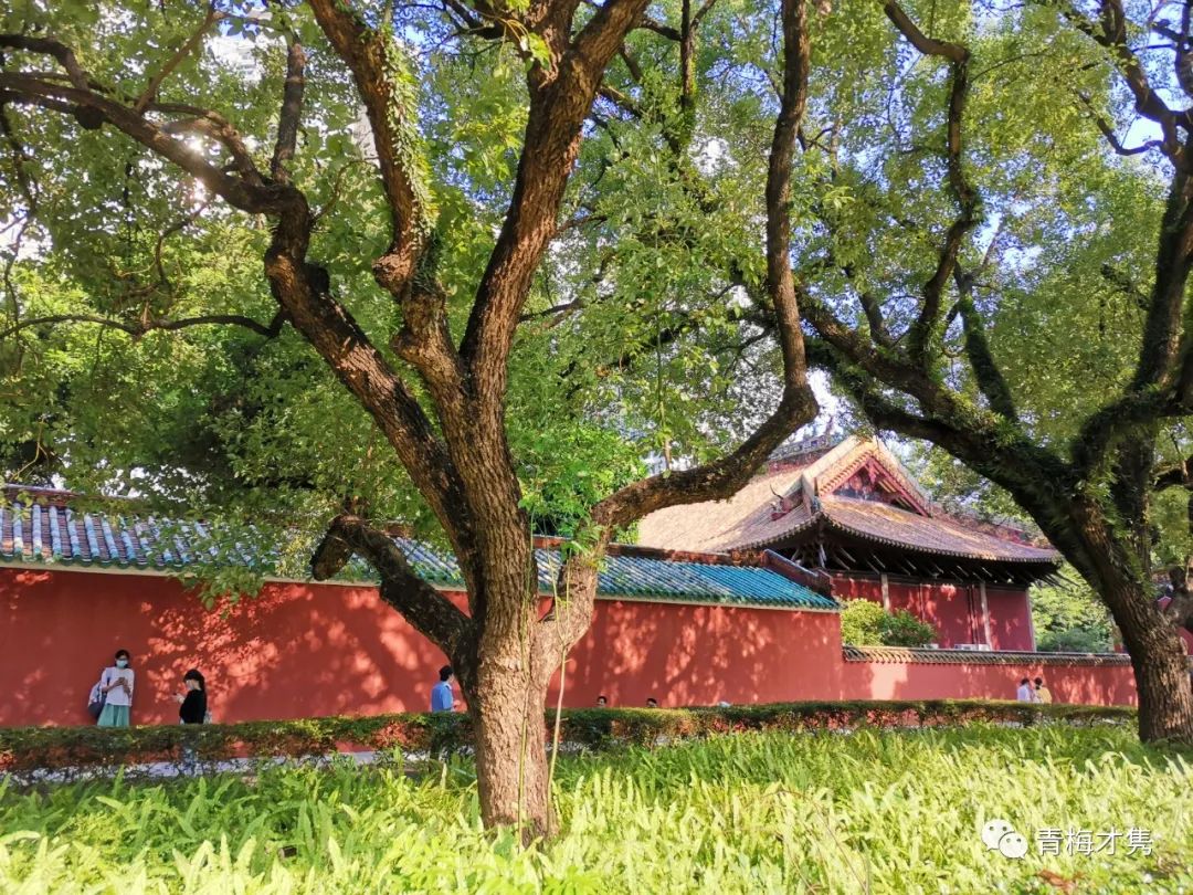 你所向往的生活都在哪里,你所向往的生活是啥样的