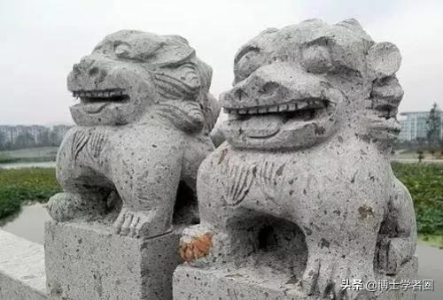 母狮一天发情40次,还追着公狮咬蛋蛋?根本不是这样啊....