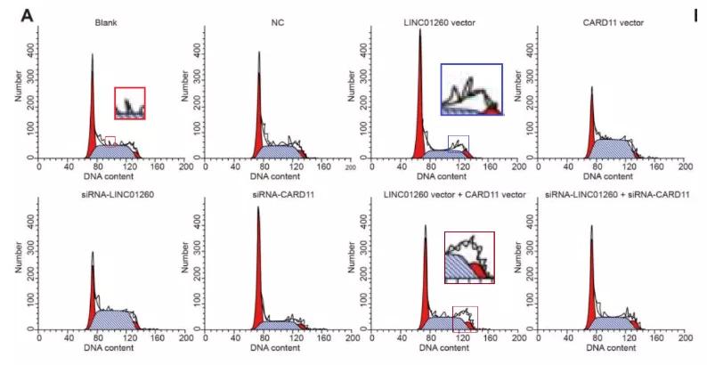 众多大佬沦陷“论文工厂”！112篇论文，55%获基金资助