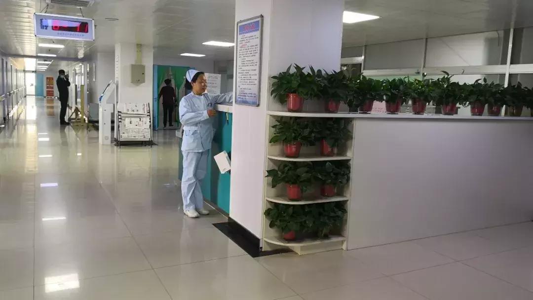 修复身体自愈力,修复人体损伤