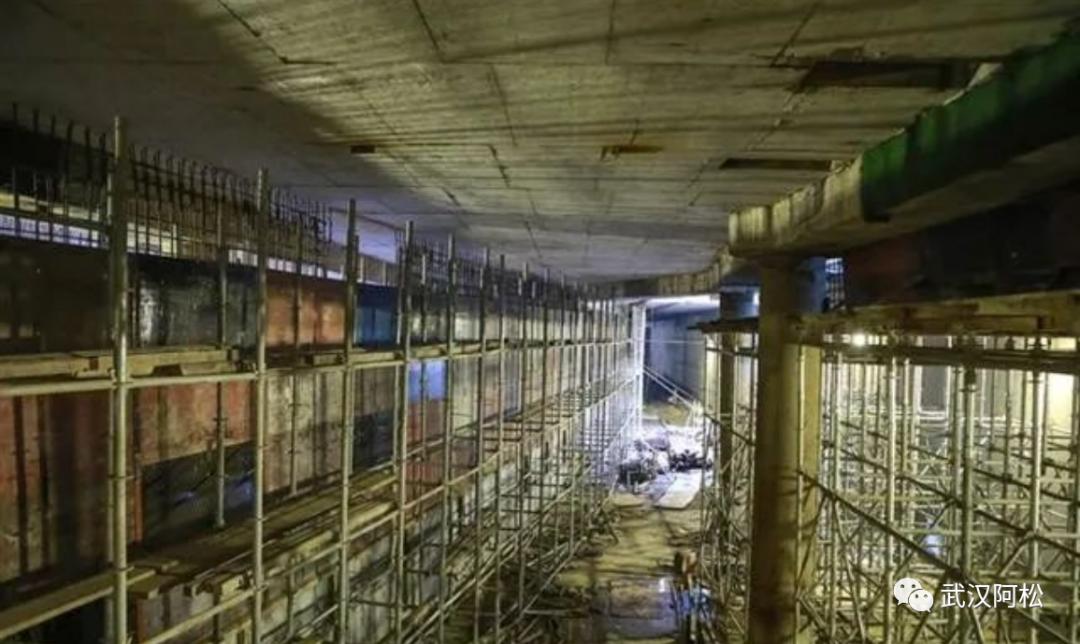 厉害了大湾区,厉害了大中国