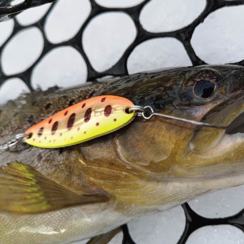 路亚新手亮片钓法,路亚新手选饵避坑