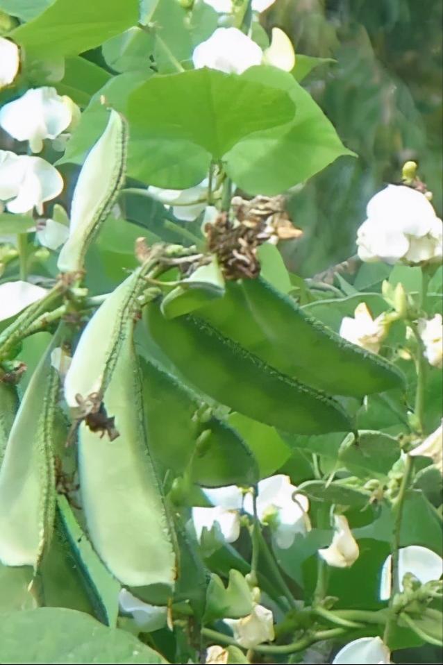 南浔好在哪呢,南浔好在哪里