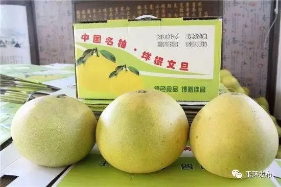 台州玉环港能坐船去台湾，你知道吗？浙江通往台湾唯一海上航线