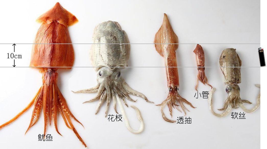 海鲜认识和吃法,海鲜解析