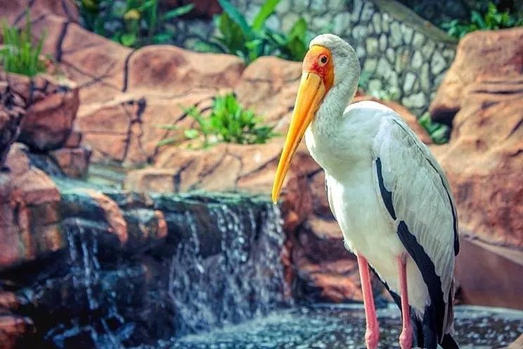 吉隆坡的繁华程度让我震惊,吉隆坡到底值得去吗