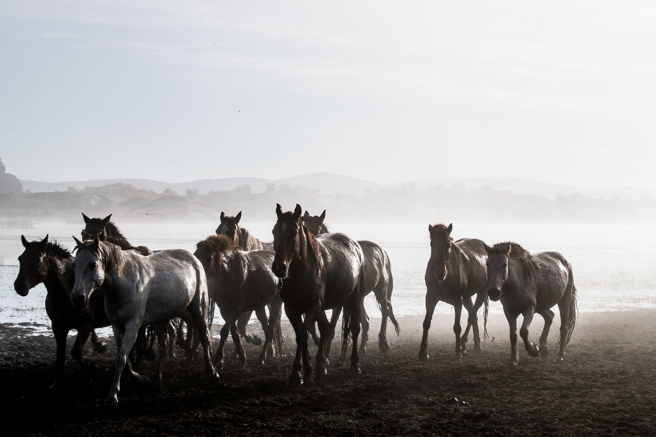 高考文言文阅读答题技巧详讲精练,高考语文核按钮文言文阅读60练