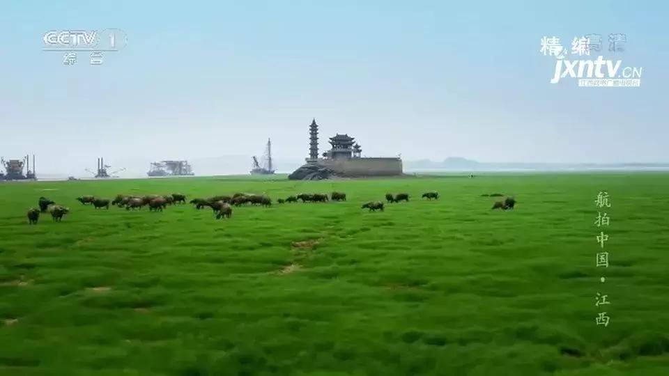 换一个角度看世界风景不同的美,换一个角度看美景