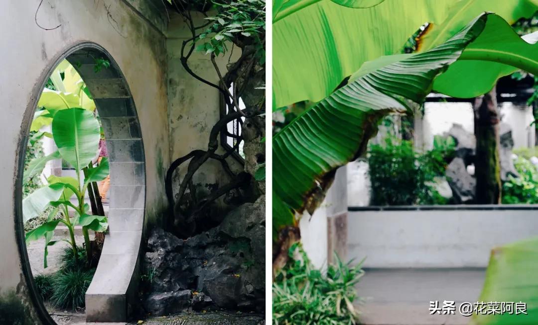 留园拙政园哪个景色好,留园和拙政园