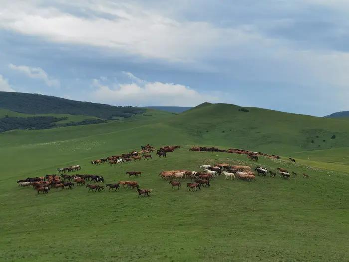 锡林郭勒草原冬天骑马,锡林郭勒盟大草原骑马