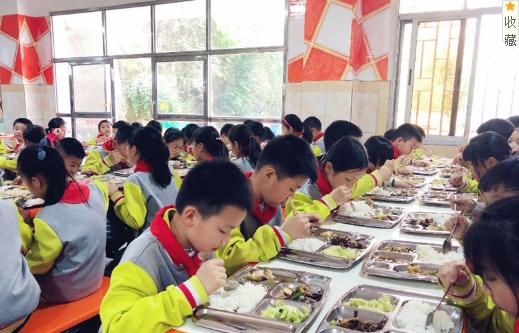 重庆南岸区公立小学学校,重庆南岸区小学排名一览表