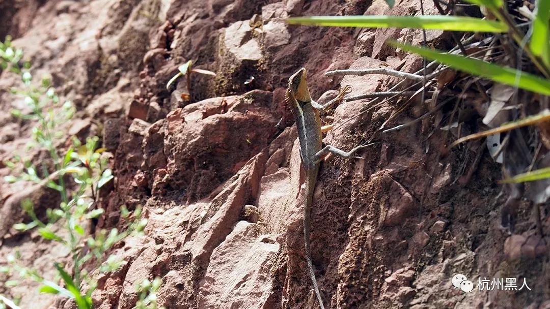 我在老挝,我在老挝旅行的第八天