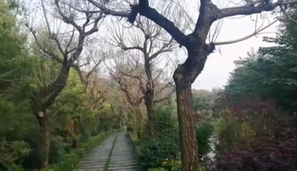 弥勒居住养老优缺点,弥勒市天气适宜养老吗