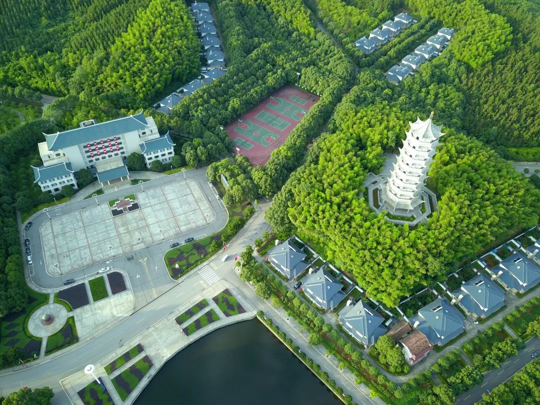 蓝城史诗级田园巨著，或将引领十万武汉人“上山下乡”