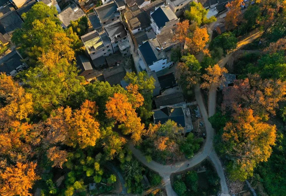 10月下旬徽州摄影推荐,金秋皖南婺源摄影之旅