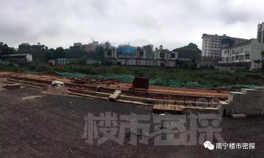 被业主期待的学校,被业主期待的学校有哪些