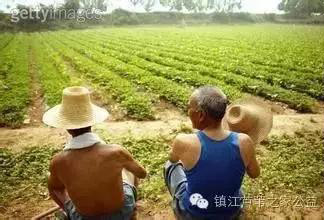 基层诊所目前经营形势,个体诊所运营现状及基本特征分析