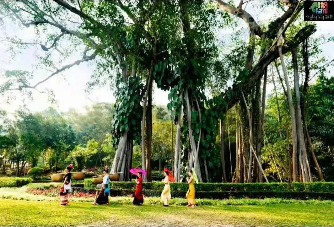 美丽云南第二季祥云,美丽云南第二季华宁