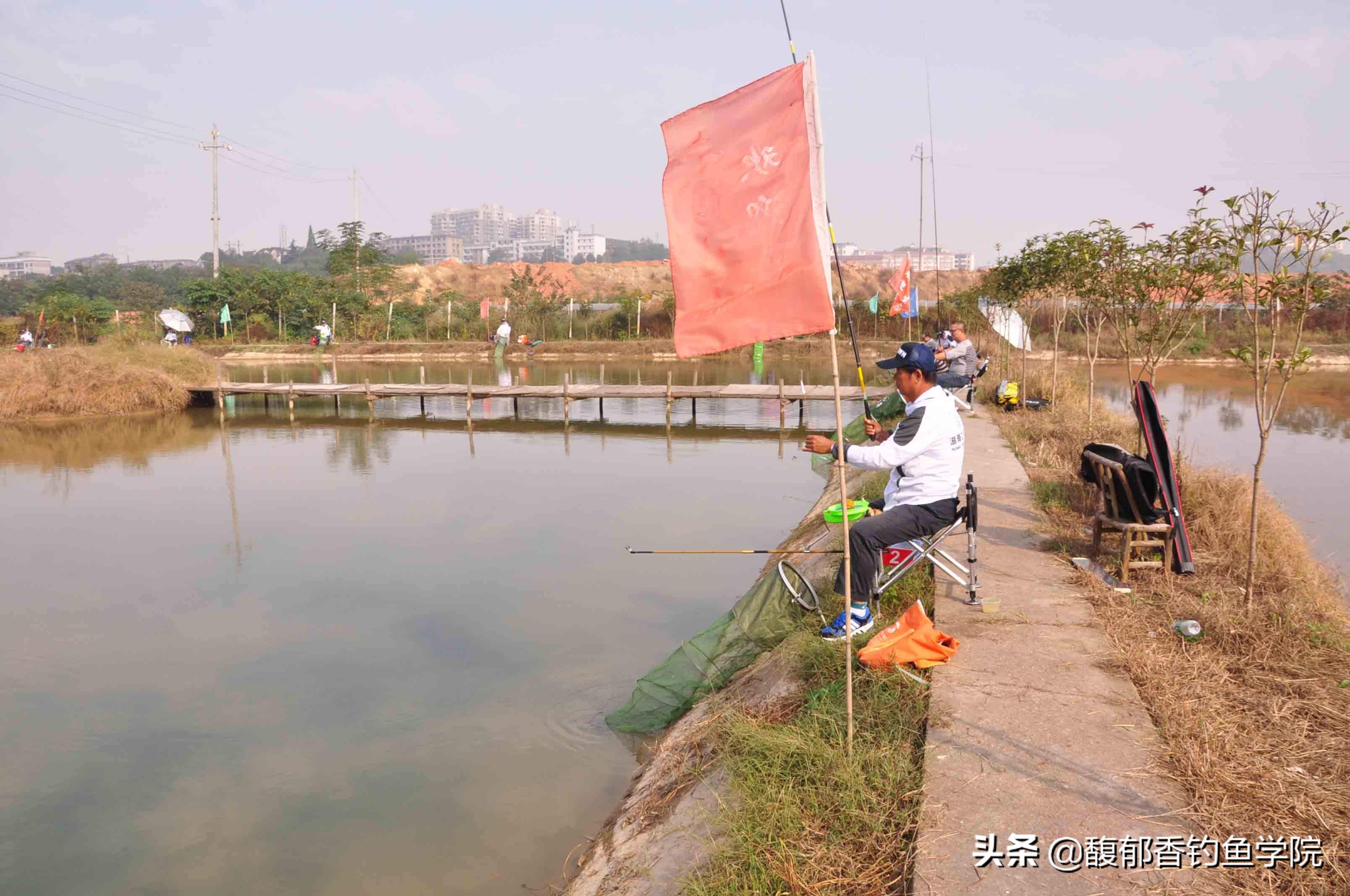 鲤鱼适应的最佳温度是多少,温度太高鲤鱼是不是不开口