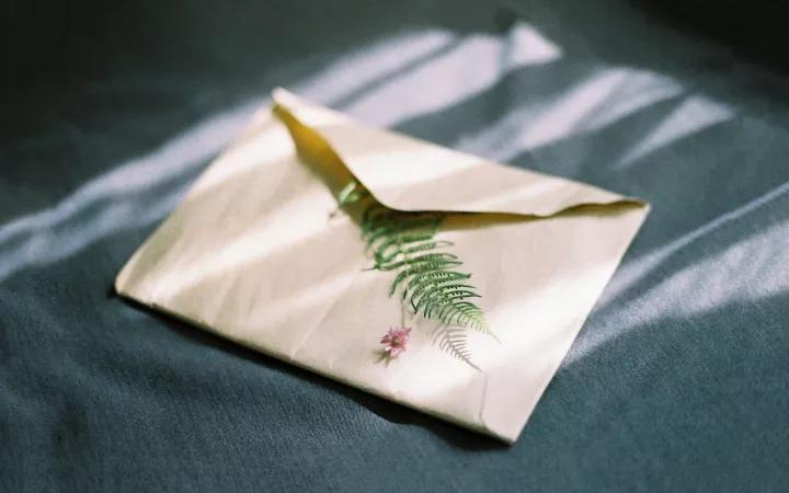 贾平凹散文写作技巧,贾平凹关于写作的建议