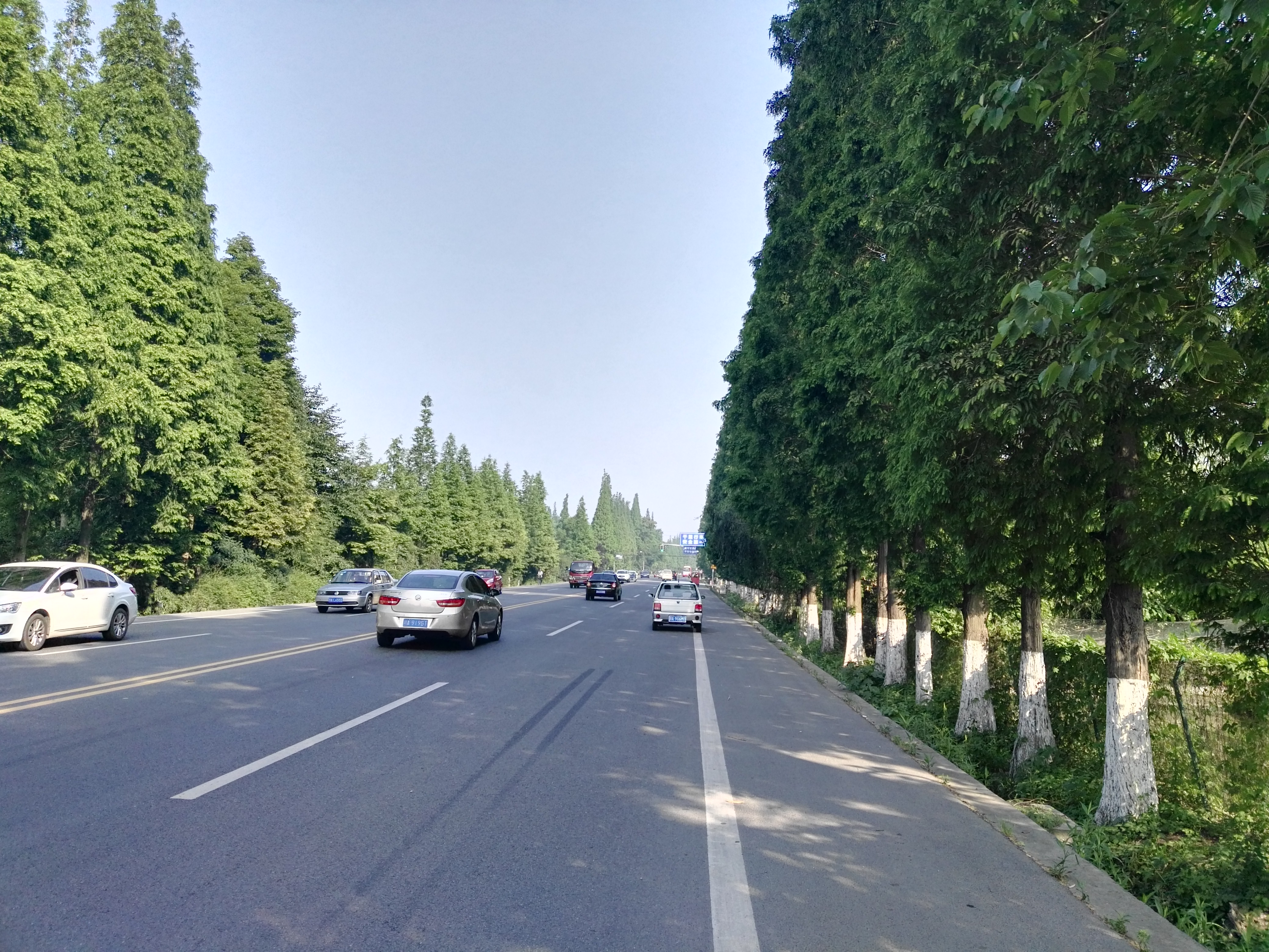 成都游后感,游四川成都作文