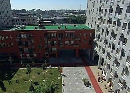 家有儿女刘星小雨长大合照,家有儿女小雨和小雪是亲姐弟吗