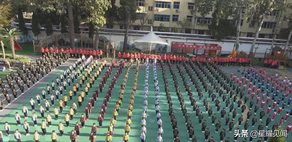 幼儿园健康领域体育游戏,幼儿园线上健康体育运动游戏