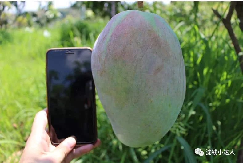 日本Morozoff巧克力礼盒119,卷纸7.9,丸美小棕瓶39/2件,时克