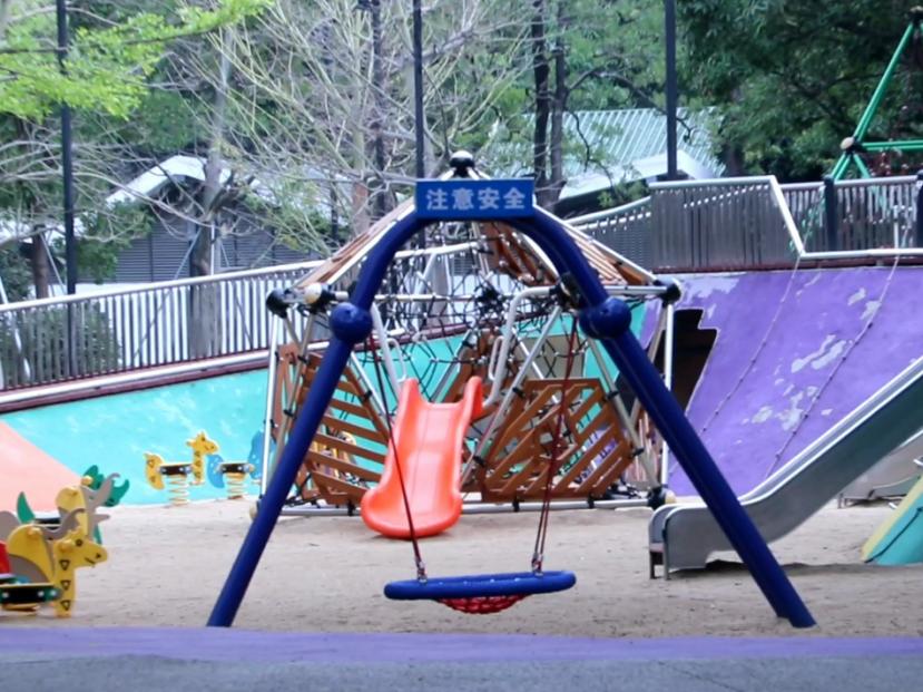 厦门藏匿着的美好,厦门是一座非常迷人的城市