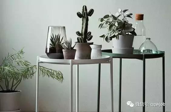 宜家春招岗位,宜家公司招聘条件