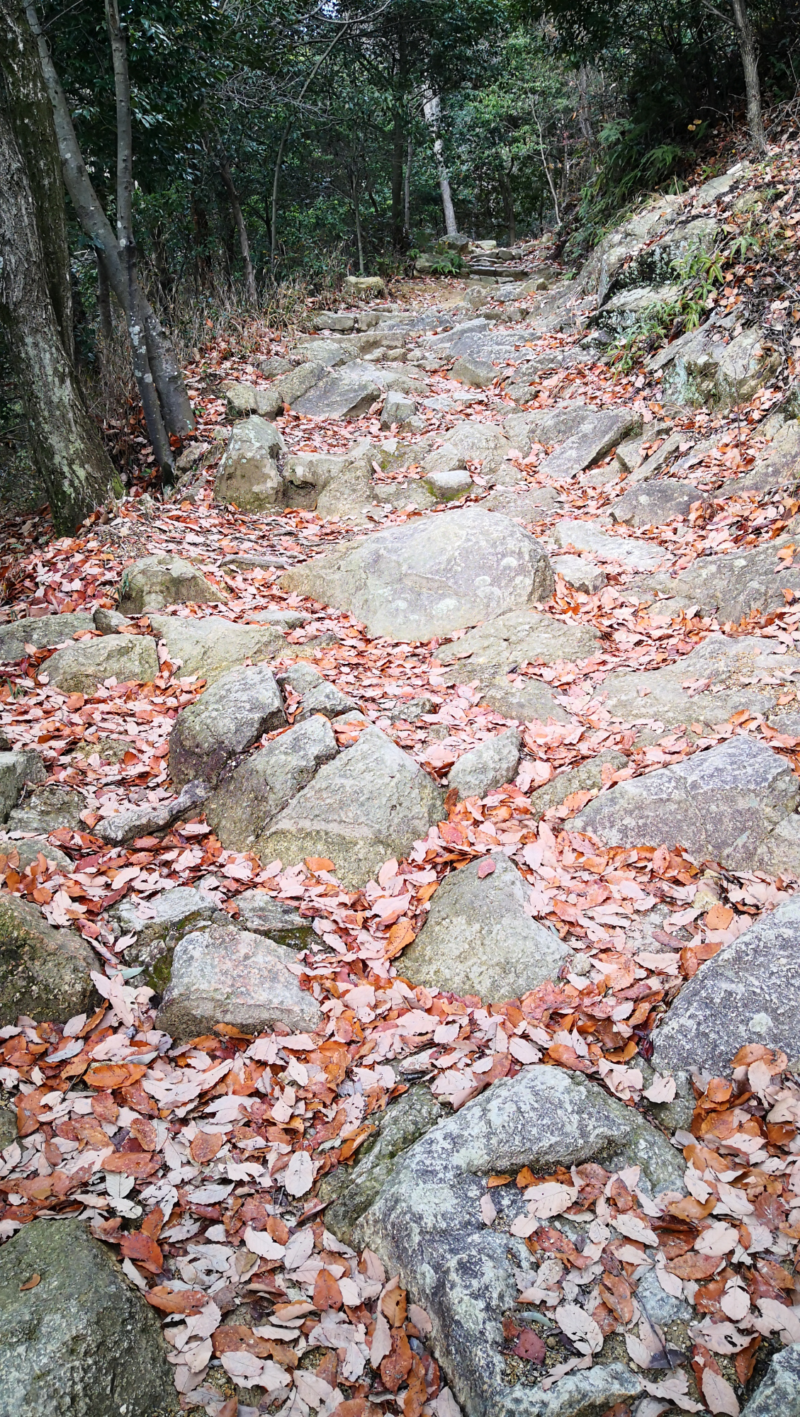 书写山圆教寺景点,书写山圆教寺攻略