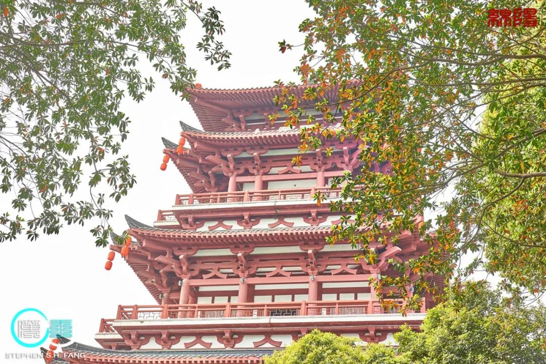 李子柒家乡成旅游景点,李子柒乡愁