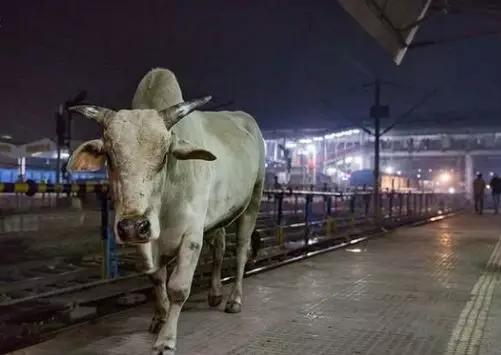 牛魔王真实原型多大,牛魔王的真身到底是谁