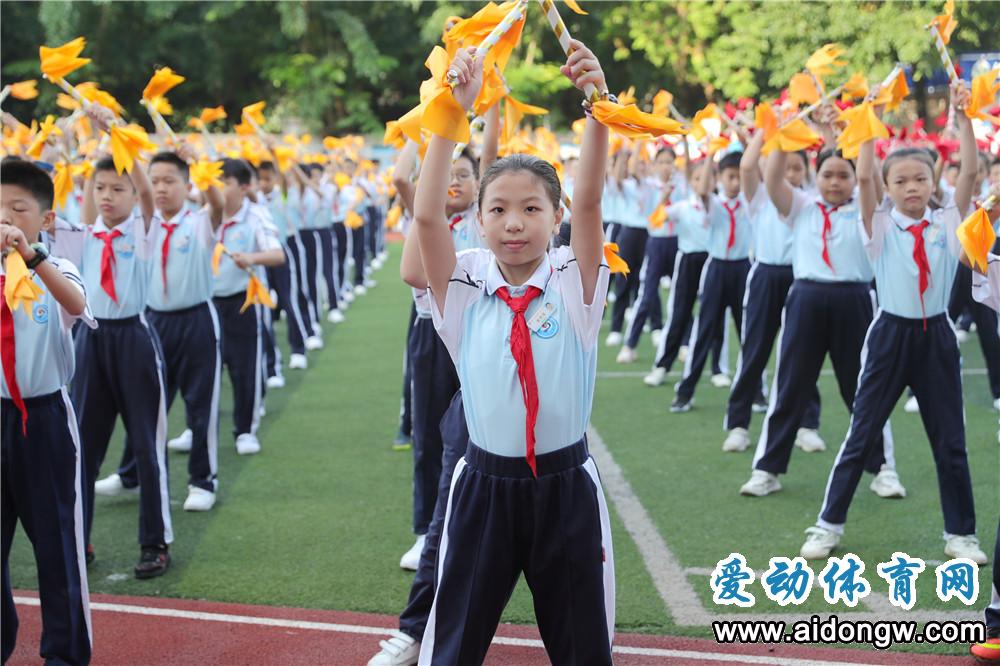 滨海九小举行足球比赛,青岛滨海学院足球比赛