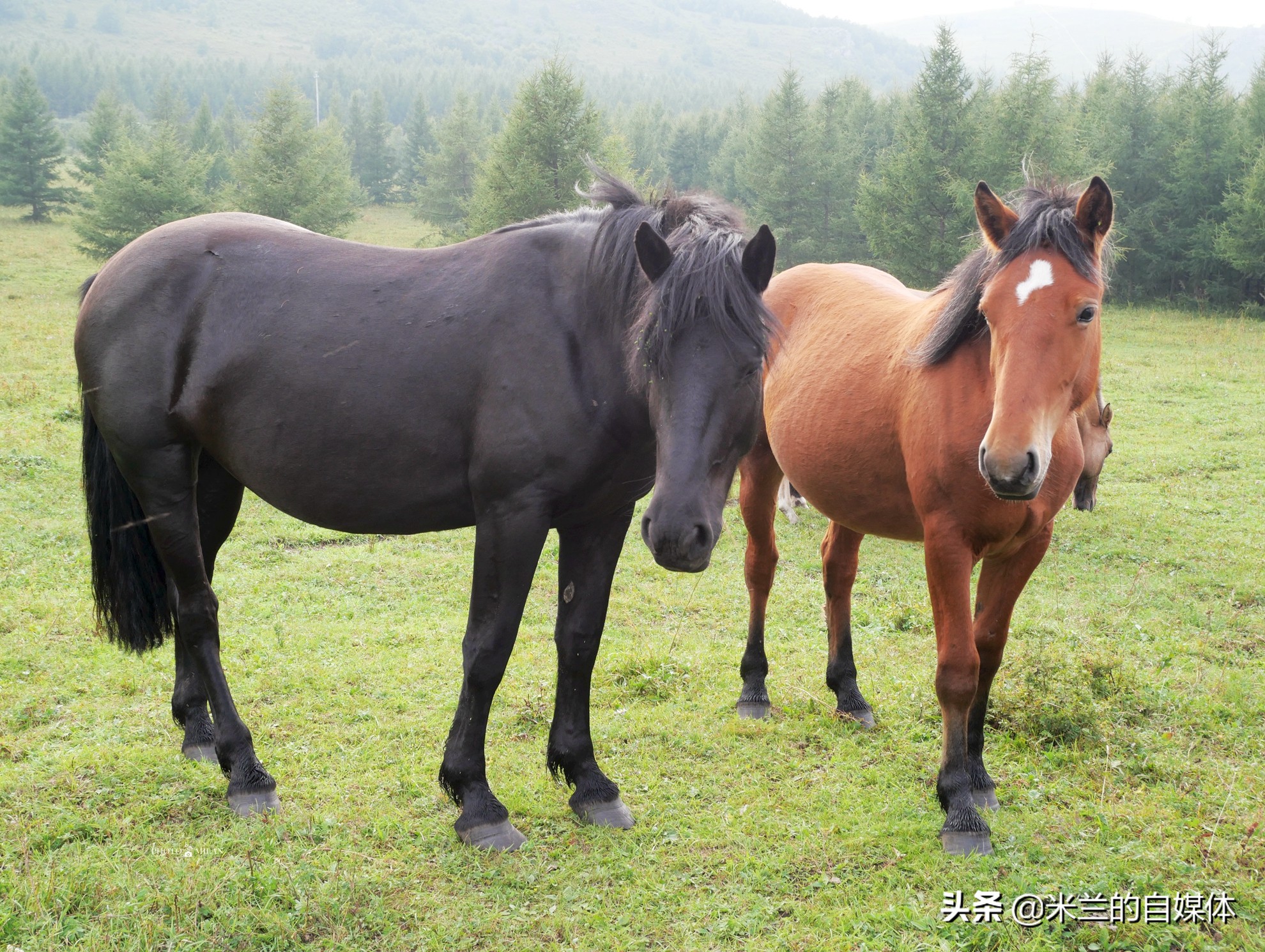 北京周边二日自驾游最佳路线图,北京周边自驾游两天一夜攻略草原