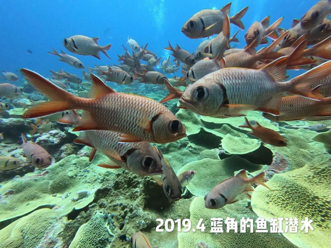 潜水如何节省气,10个简单又可能被忽略的潜水技巧