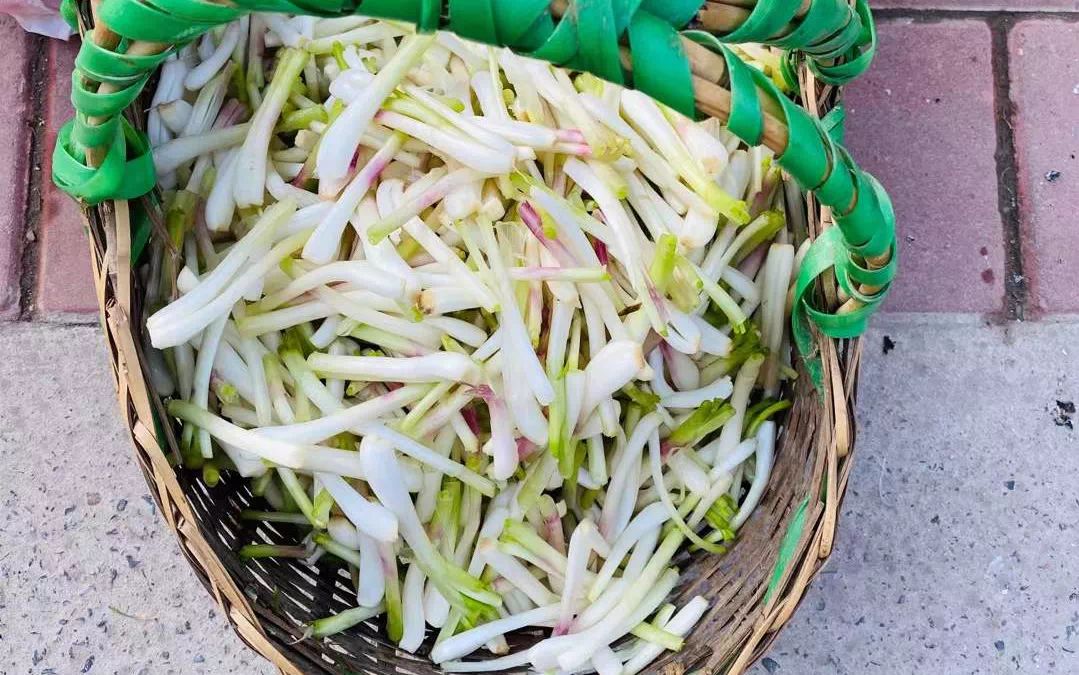 菜市小趣（社会扫描）