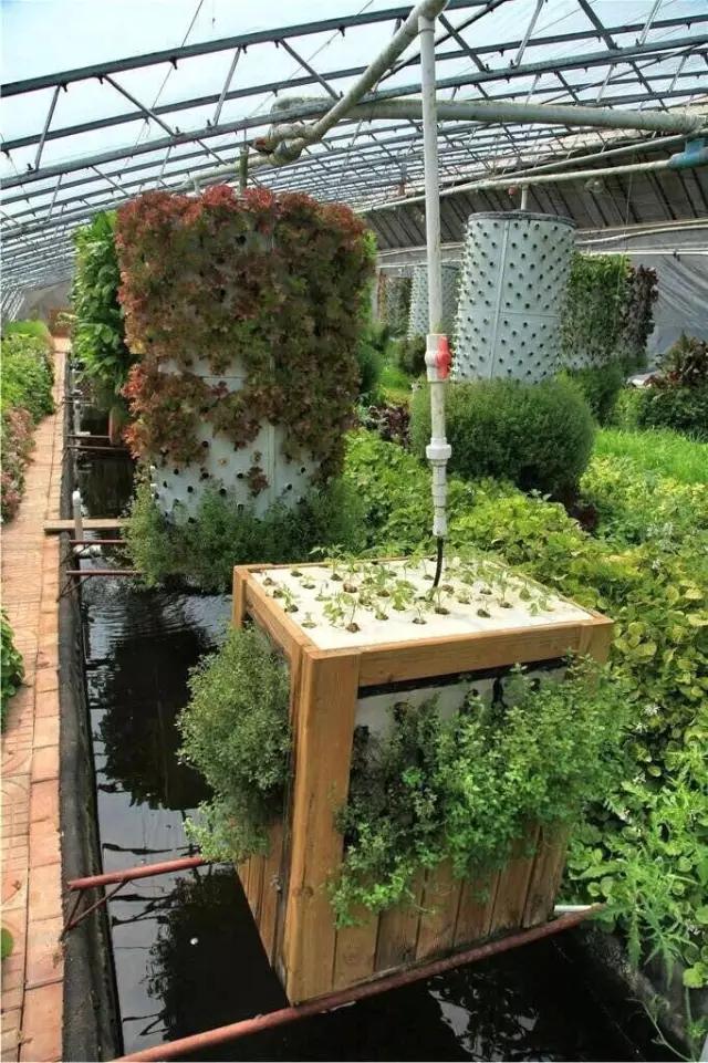 20亩农场一年赚多少钱,20亩地的农场该怎样赚钱