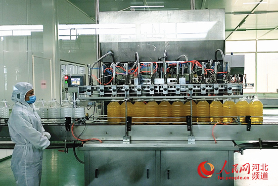 邯郸：三个商标“贷”来8000多万元企业接续发展动力十足