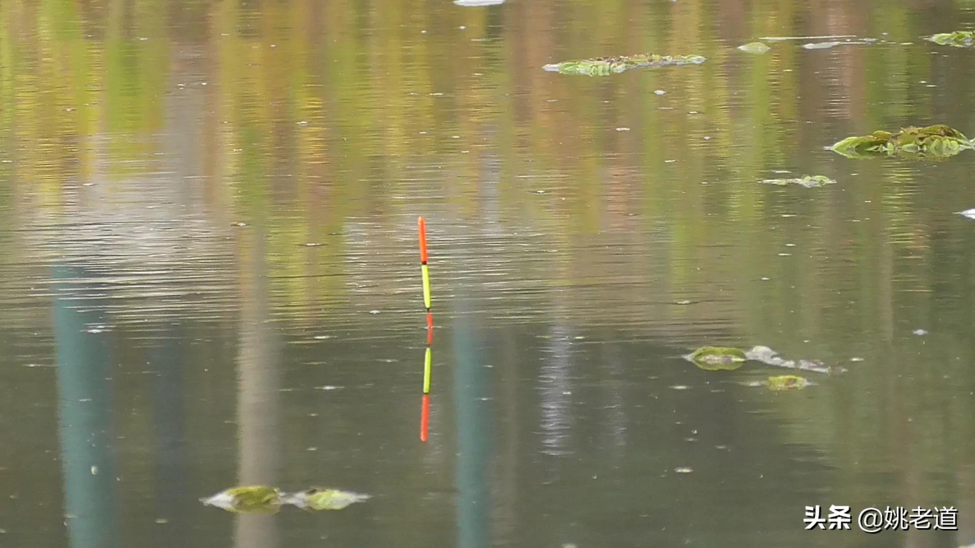 正确调漂的原理和方法,调漂总是只有一目