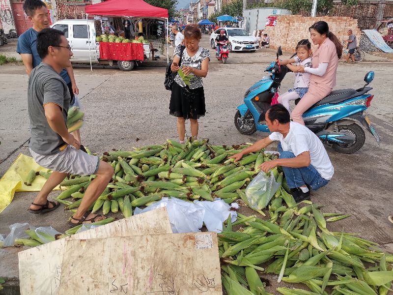 农村小生意很火，但需要注意这几点才能稳赚