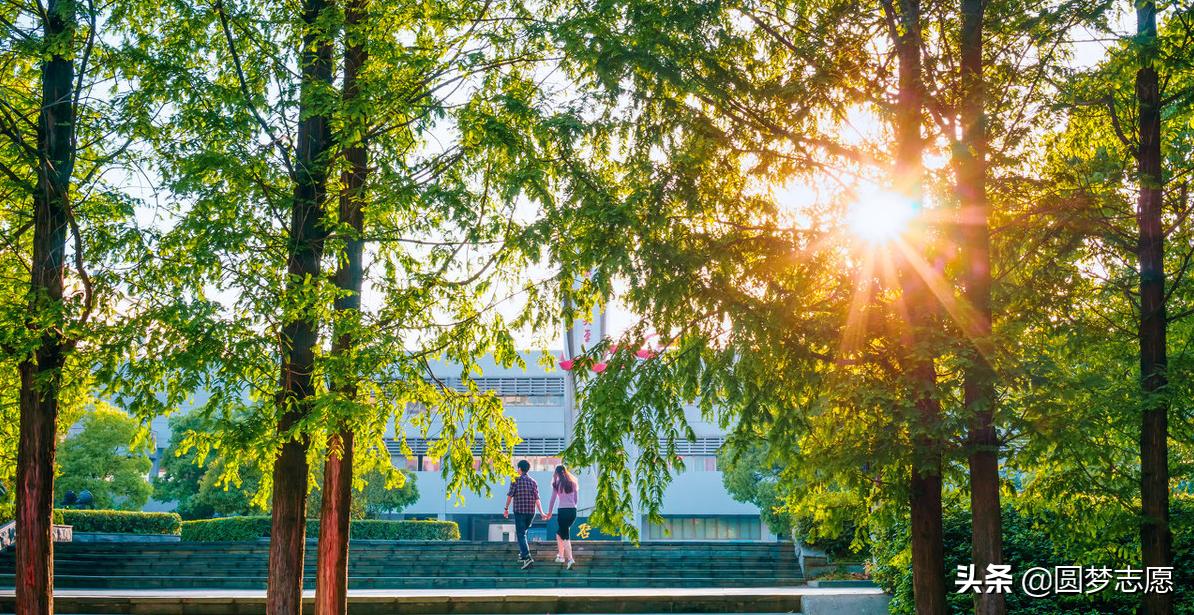 目前国内最有前景专科大学,国内实力最强的3所专科院校