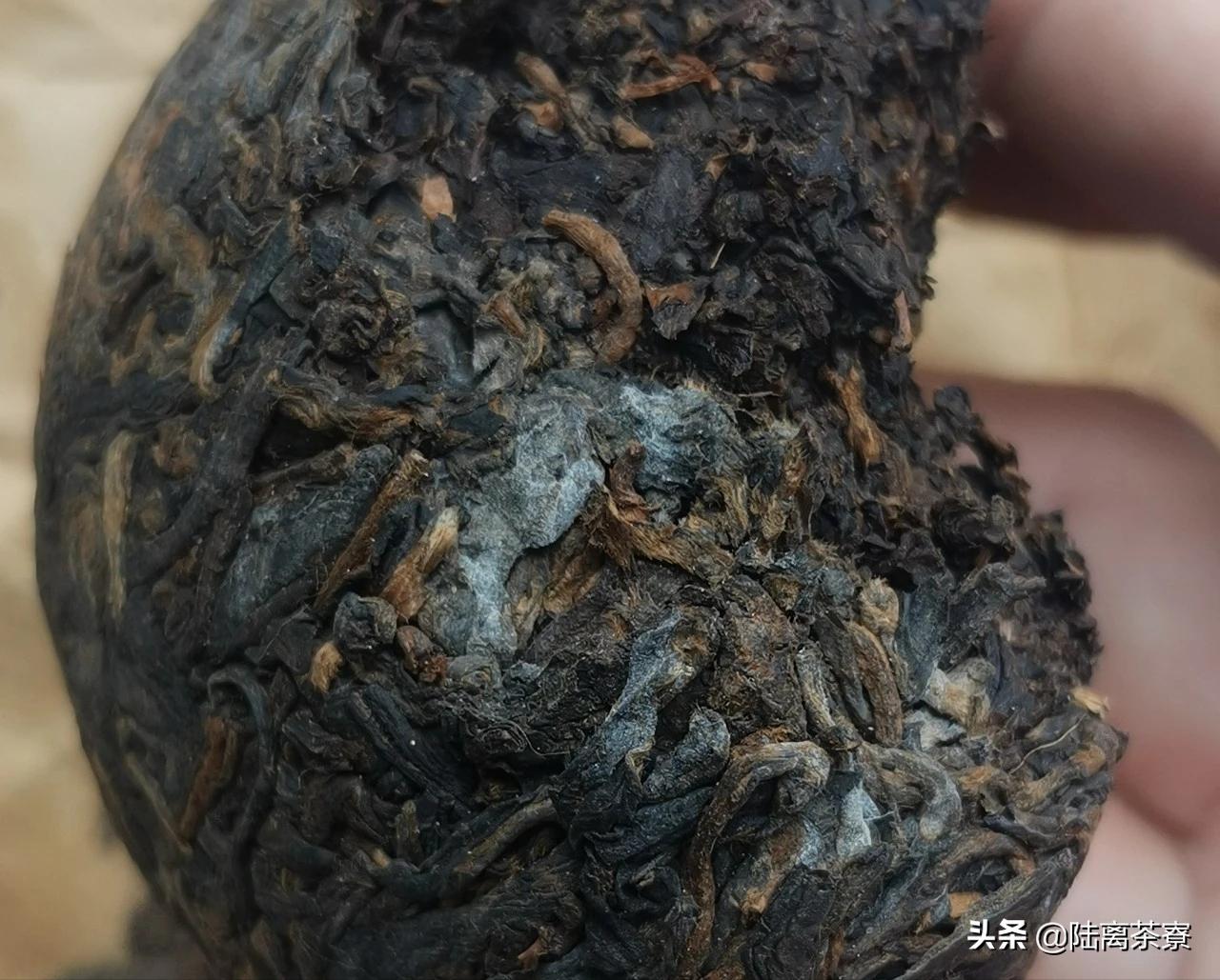 普洱茶熟茶检查出好多细菌,变质的普洱熟茶喝了会怎样