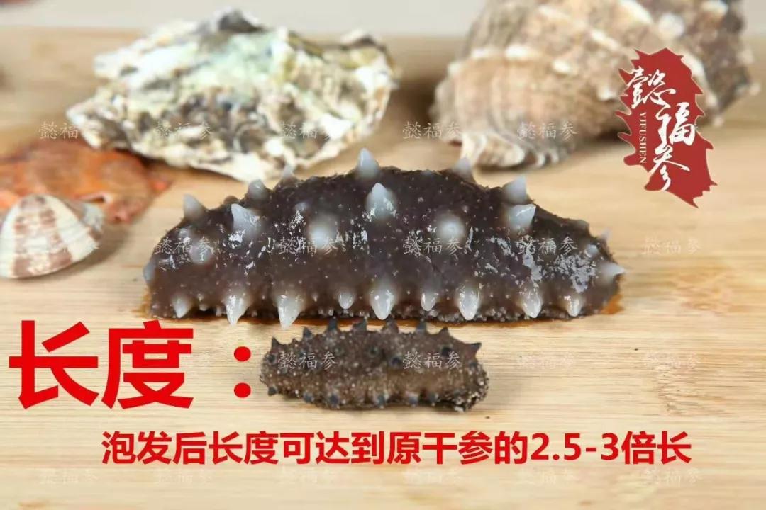 什么样的海参是比较好的海鲜,什么样的海参质量好有养分