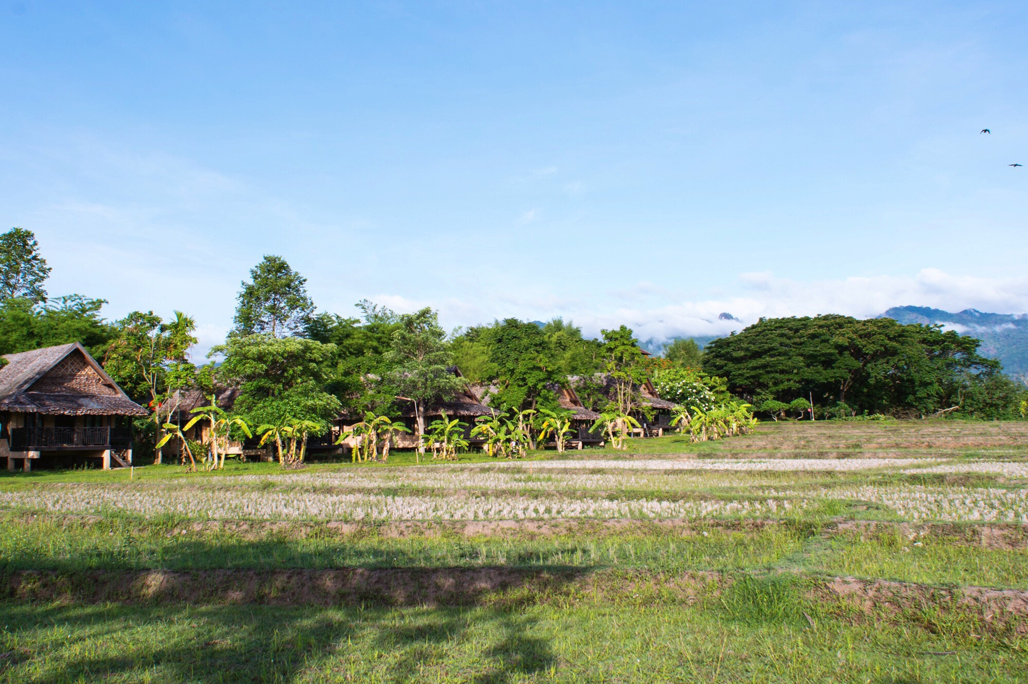 泰国的网红旅游县，私藏着一座座田园式酒店，诗意的生活在这演绎
