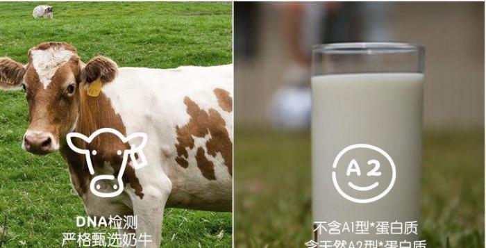 正本清源1992,正本清源1984