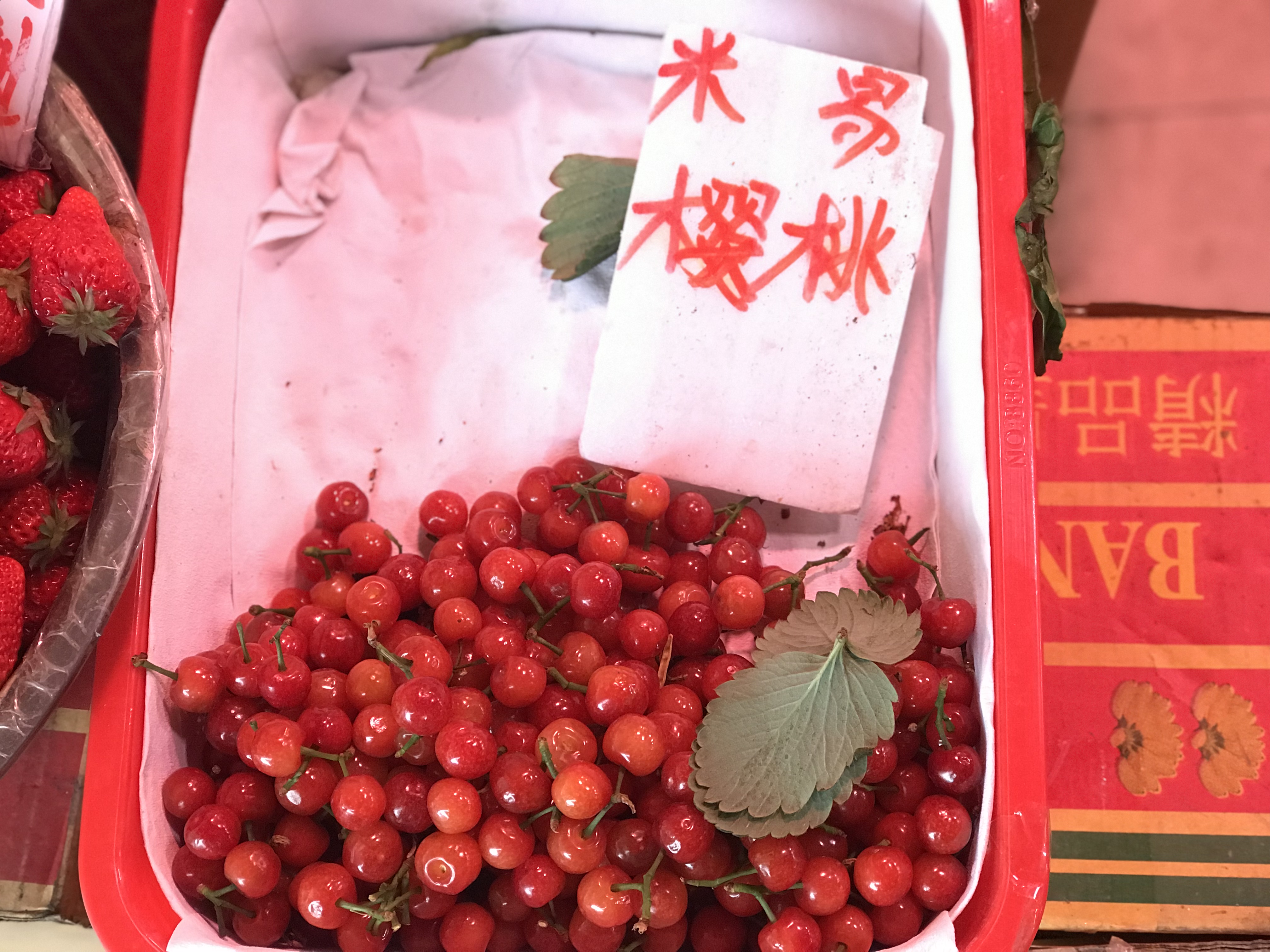 今日四川大樱桃批发价格,成都今日樱桃零售价