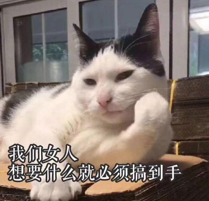 好用的平价新手睫毛膏推荐,好用的平价超细睫毛膏测评