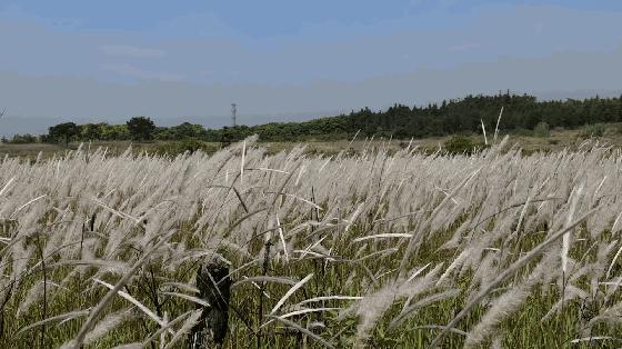 不交智商税的破壁机,不交智商税产品推荐