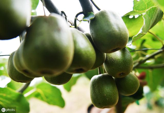 张家界武陵源小镇有啥美食,带你吃遍张家界所有美食